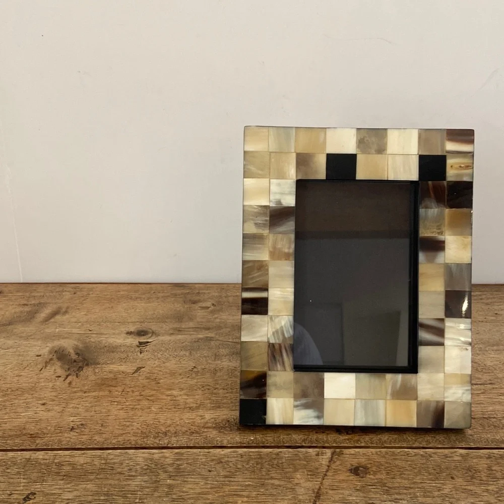 Z Gallerie Horn and Bone Picture Frame